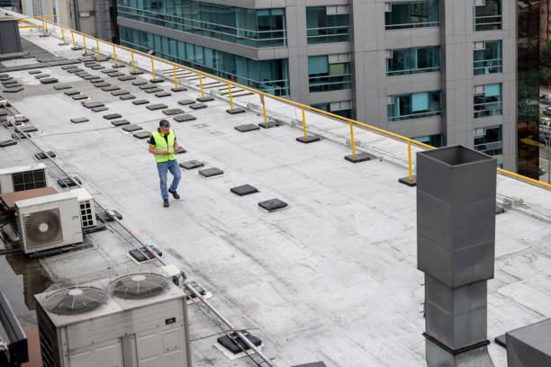 Best Roof Leak Repair  in Mount Morris, MI