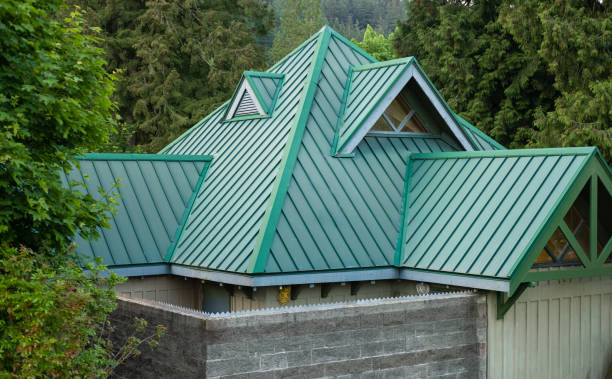 Best Storm Damage Roof Repair  in Mount Morris, MI