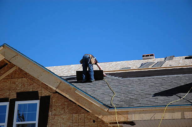 Best Roof Insulation Installation  in Mount Morris, MI