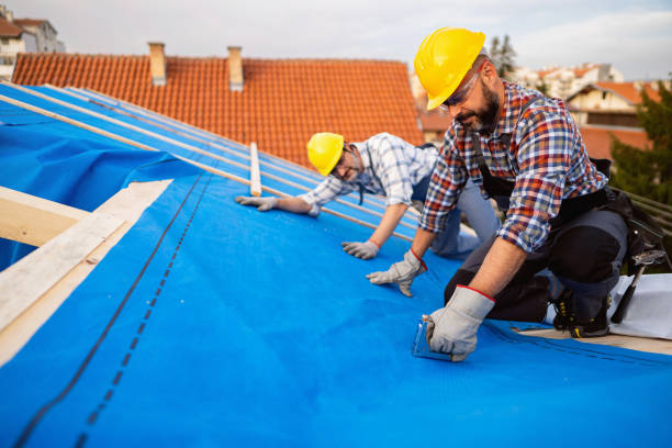 Best Flat Roofing  in Mount Morris, MI