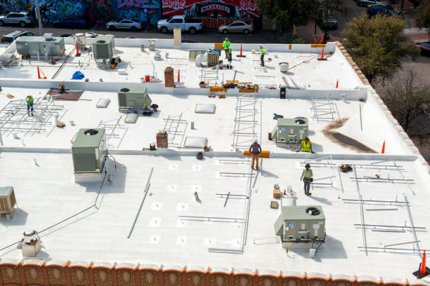 Best Roof Maintenance and Cleaning  in Mount Morris, MI