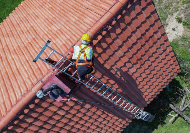Best Roof Moss and Algae Removal  in Mount Morris, MI