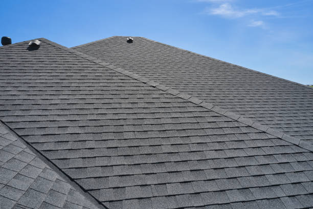 Best Steel Roofing  in Mount Morris, MI