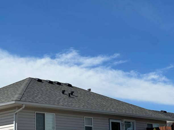 Best Cold Roofs  in Mount Morris, MI